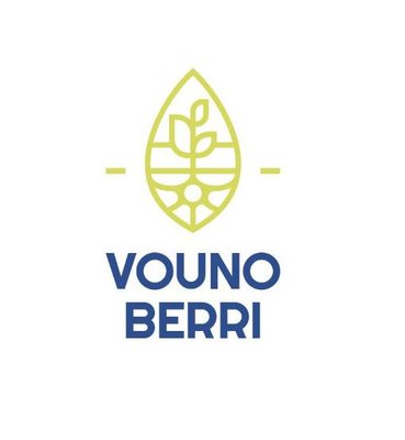 Trademark VOUNO BERRI