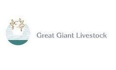 Trademark Great Giant Livestock + Logo