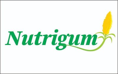 Trademark NUTRIGUM + LUKISAN