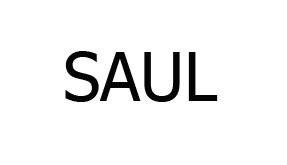 Trademark SAUL