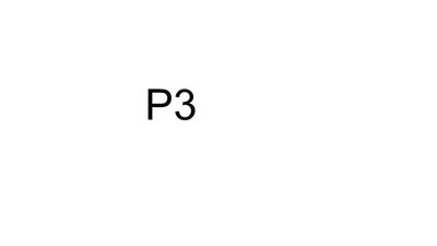 Trademark P3