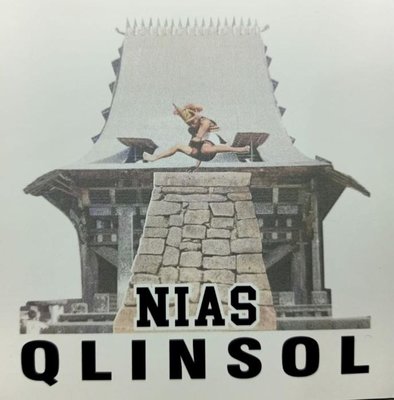 Trademark NIAS QLINSOL