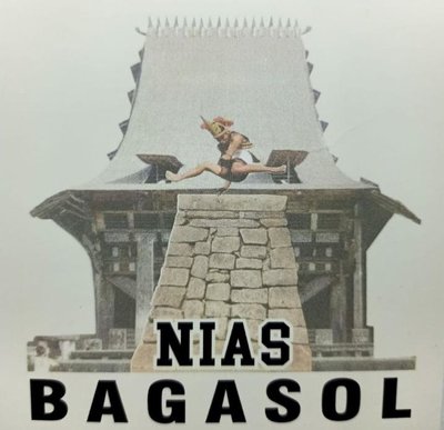 Trademark NIAS BAGASOL