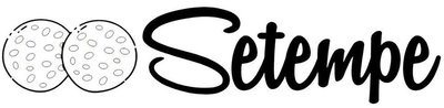 Trademark SETEMPE + LOGO