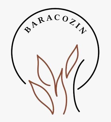 Trademark BARACOZIN + LOGO