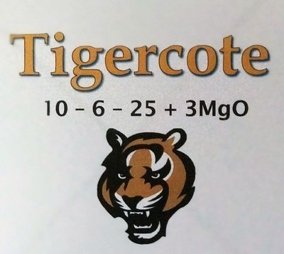 Trademark TIGERCOTE 10 - 6 -25 + 3MgO dengan LUKISAN