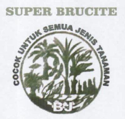 Trademark SUPER BRUCITE