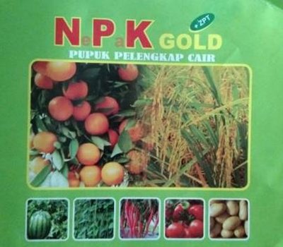 Trademark NePaK GOLD + LUKISAN