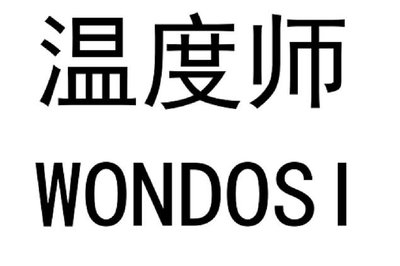 Trademark Chinese Characters + WONDOSI