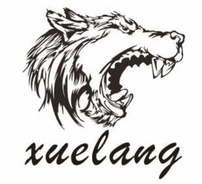 Trademark XUELANG + LOGO