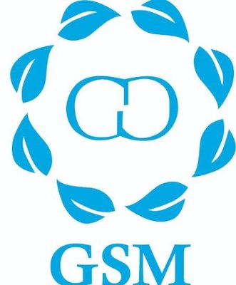 Trademark GSM