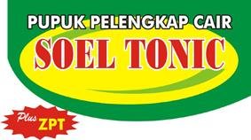 Trademark SOEL TONIC