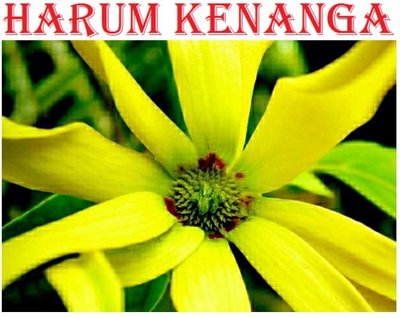 Trademark Harum Kenanga