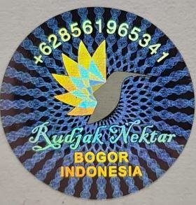 Trademark Rudjak Nektar + Lukisan (Hologram)