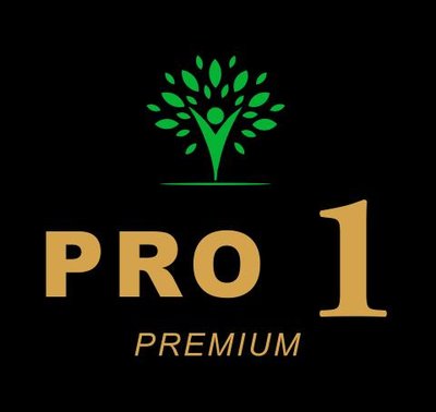 Trademark PRO 1