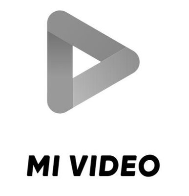 Trademark MI VIDEO Logo