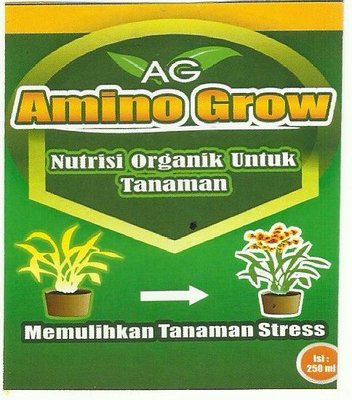 Trademark AMINO GROW