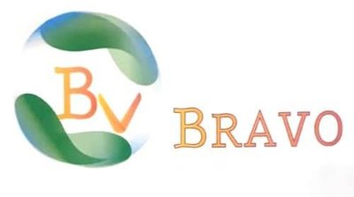 Trademark BV Bravo + lukisan