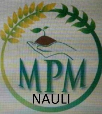 Trademark MPM NAULI