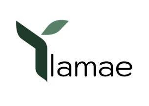 Trademark YLAMAE