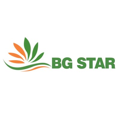 Trademark BG STAR + Logo