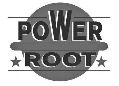 Trademark POWER ROOT + logo