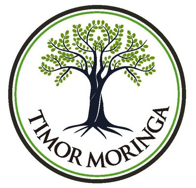 Trademark TIMOR MORINGA