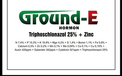 Trademark GROUND-E HORMON TRIPHOSCHLONAZOL 25% + ZINC DAN LOGO