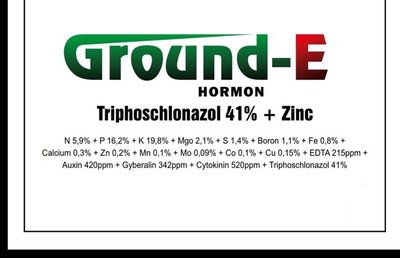 Trademark GROUND-E HORMON TRIPHOSCHLONAZOL 41% + ZINC DAN LOGO