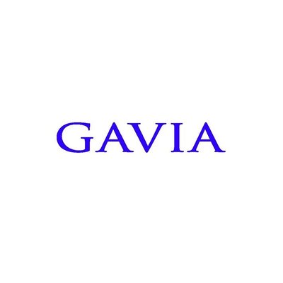 Trademark GAVIA DAN LOGO