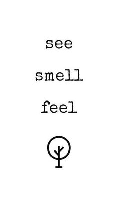 Trademark See Smell Feel