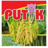 Trademark PUTIK DAN LUKISAN.