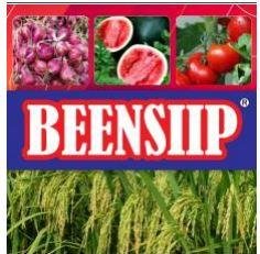 Trademark BEENSIIP DAN LUKISAN