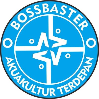 Trademark BOSSBASTER