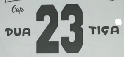 Trademark Cap DUA 23 TIGA