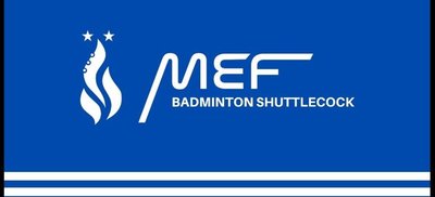 Trademark MEF