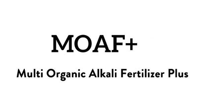 Trademark MOAF PLUS DAN LOGO