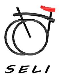 Trademark SELI & LOGO