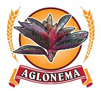 Trademark AGLONEMA + LUKISAN