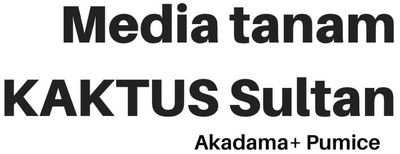 Trademark Media Tanam KAKTUS Sultan