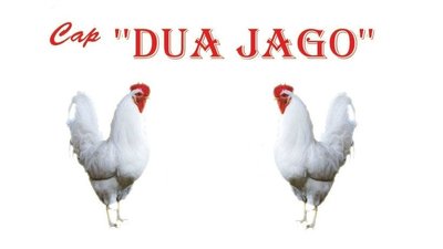 Trademark DUA JAGO