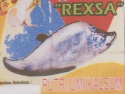 Trademark "REXSA" PUTRI UMI KALSUM