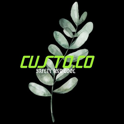 Trademark CUSTO.CO