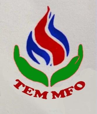 Trademark TEM MFO