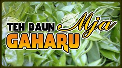 Trademark TEH DAUN GAHARU MJA