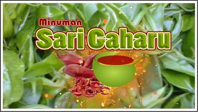 Trademark MINUMAN SARI GAHARU