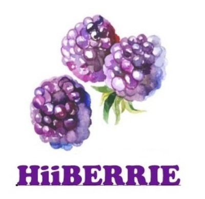 Trademark HIIBERRIE + LOGO