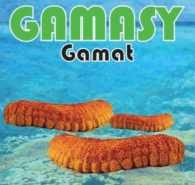 Trademark GAMASY GAMAT