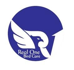 Trademark Real One Bird Care +Lukisan