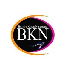 Trademark BKN + LUKISAN